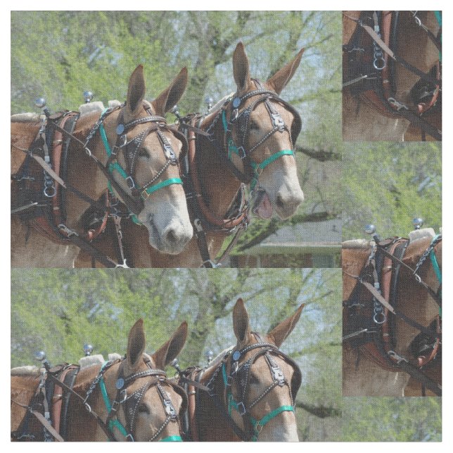 Tissu Colombie, jours de mule de TN (Fermer)