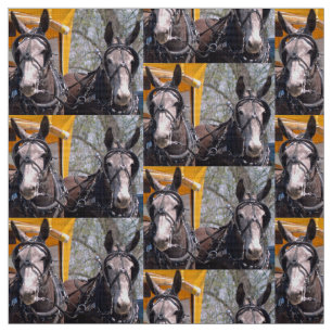 Tissu Colombie, jours de mule de TN