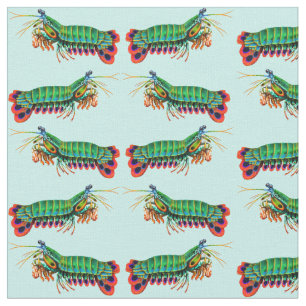 Tissu coloré de crevette de mante de paon