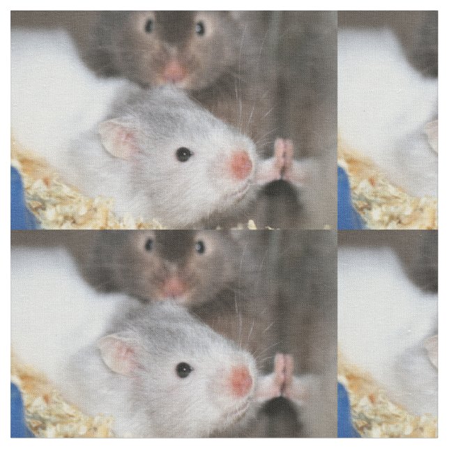 Tissu Combien coûte ce hamster dans la fenêtre (Fermer)