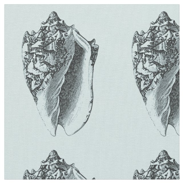 Tissu Conque Shell d'Aqua (Fermer)