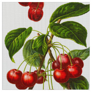 Tissu Copie botanique vintage de cerises sur le blanc