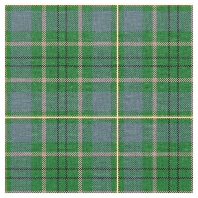 Tissu Copie de tartan de Taylor (Fermer)