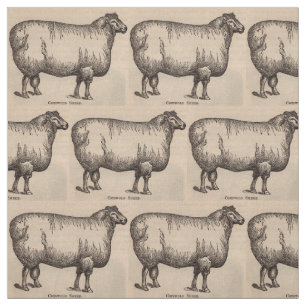 Tissu Copie du 19ème siècle de moutons de Cotswold