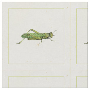 Tissu Copie encadrée de sauterelle verte