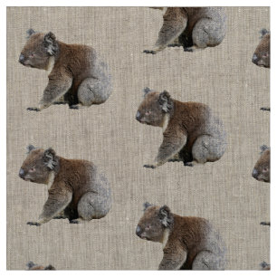 Tissu Copie mignonne de photo de koala