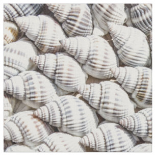 Tissu coquillages
