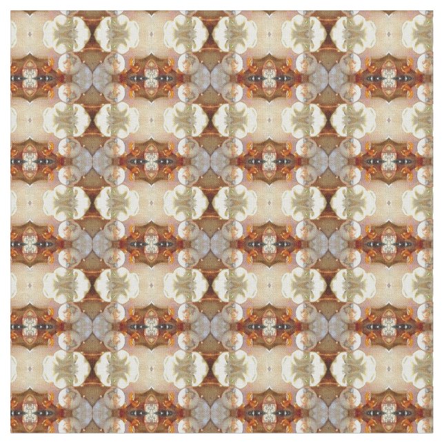 Tissu Coquille bijoux (Fermer)