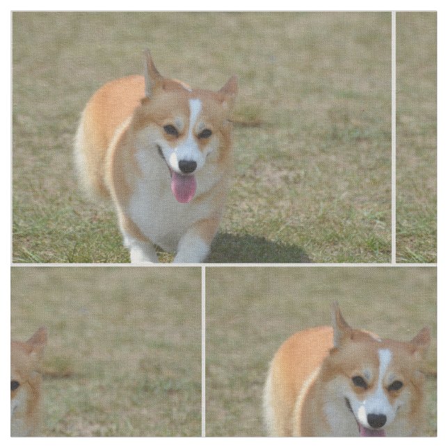 Tissu Corgi heureux (Fermer)