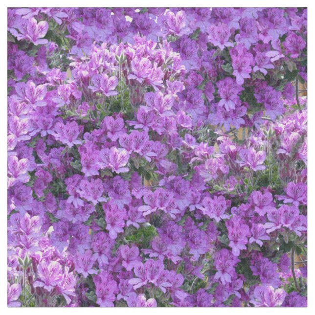 Tissu Couleur de l'année 2022 - Violet- Pélargoniums ros (Fermer)