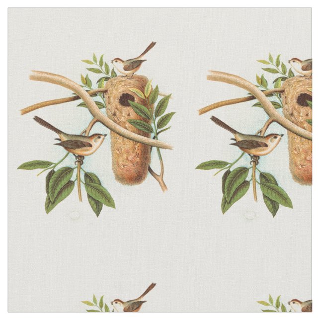 Tissu Couple d'oiseaux sur un nid perché sur une branche (Fermer)