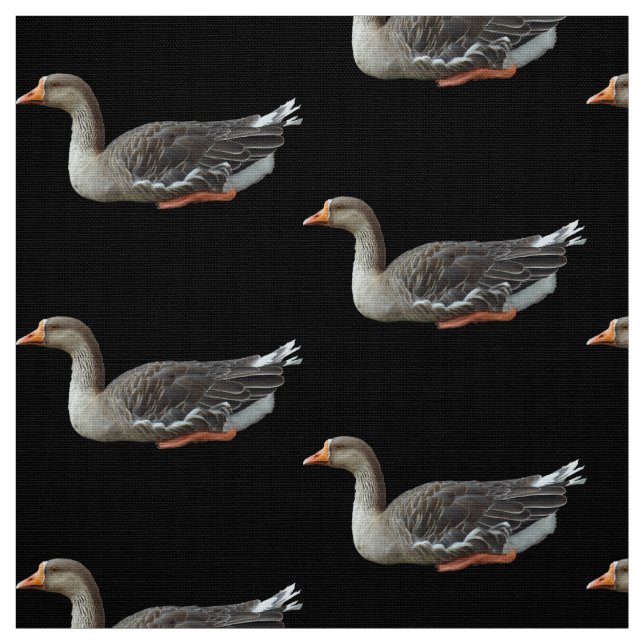 Tissu Croix du cygne gris (Échantillon)