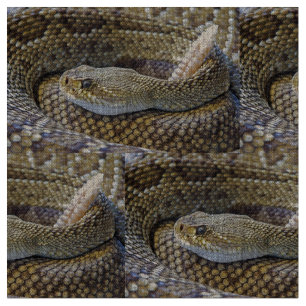 Tissu Crotale photo