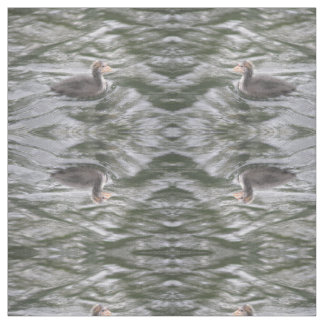Tissu Cute Coot Chick sur l'eau bouchetée animal à motif