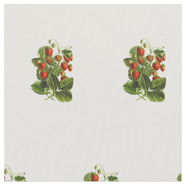 Tissu Cute Wild Strawberry Motif botanique (Fermer)