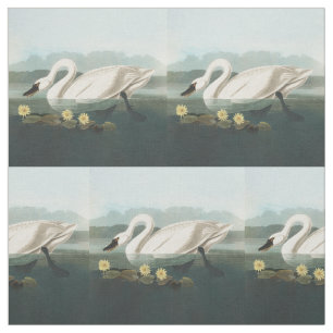 Tissu cygne audubon cygnes d'eau blanche