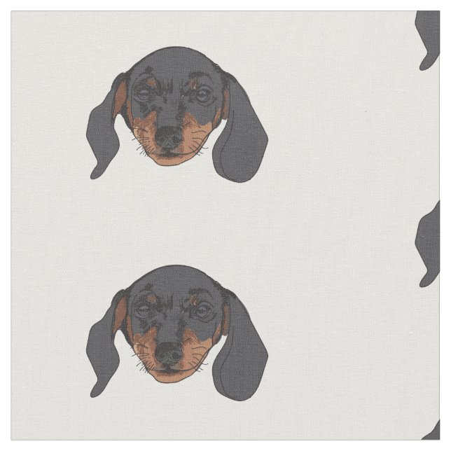 Tissu Dachshund chien Portrait (Fermer)