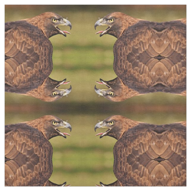 Tissu d'aigle sauvage (Échantillon)