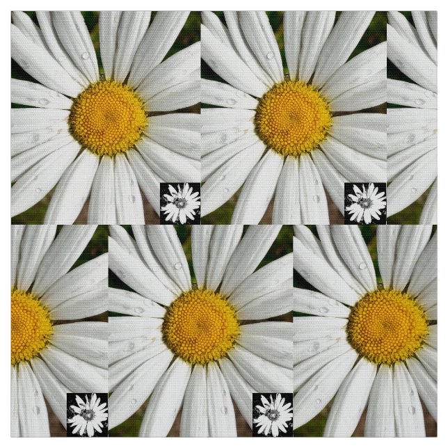 Tissu Daisy Fun (Échantillon)