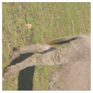 Tissu d'âne et de vache