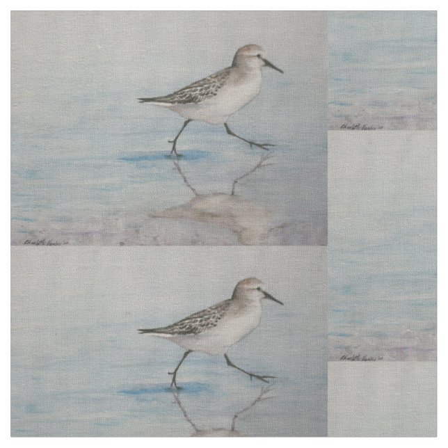 Tissu d'art d'oiseau de joueur de pipeau de sable (Fermer)