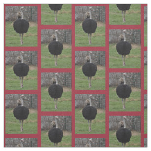 Tissu d'autruche