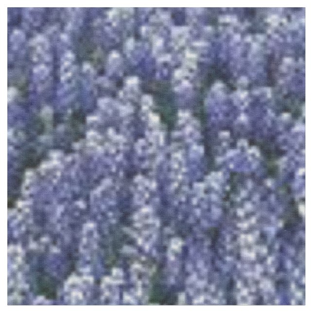 Tissu de Bluebonnets de Texas (Fermer)