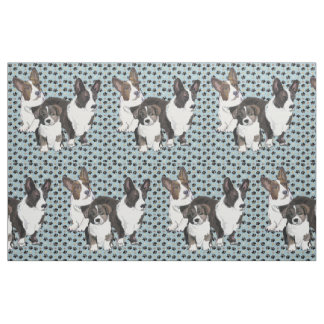 Tissu de Cardigan Welsh Corgi