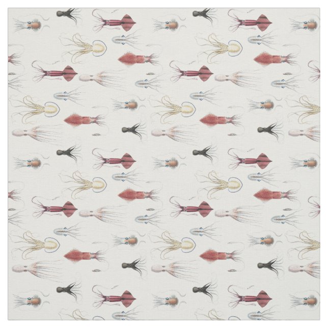 Tissu de Cephalopodified (Échantillon)