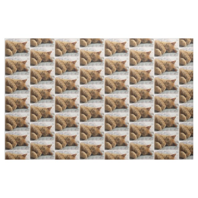 Tissu de chats couchés (Fat Quarter)