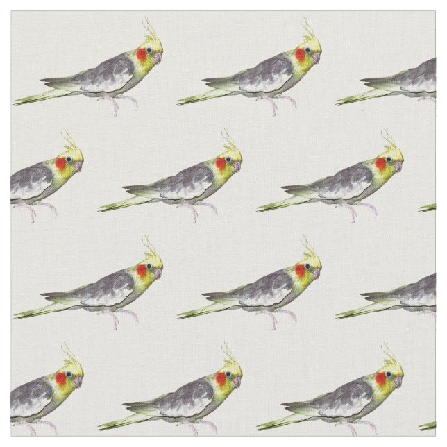 Tissu de Cockatiel (choisissez votre couleur) (Fermer)