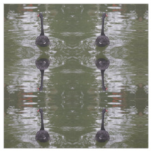 Tissu de cygne noir