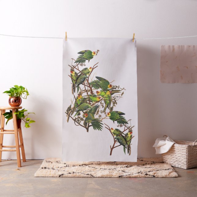 Tissu de faune d'oiseaux de perroquet d'Audubon (In Situ)