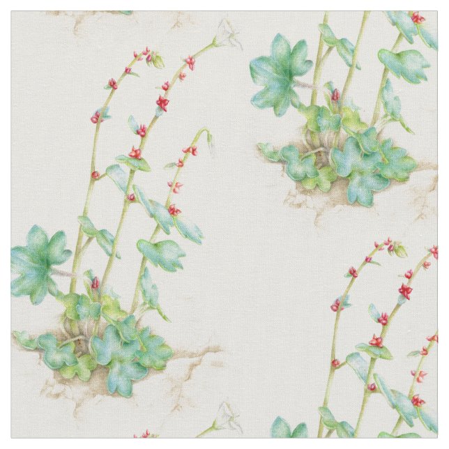 tissu de fleur d'aquarelle de saxifrage alpin (Fermer)