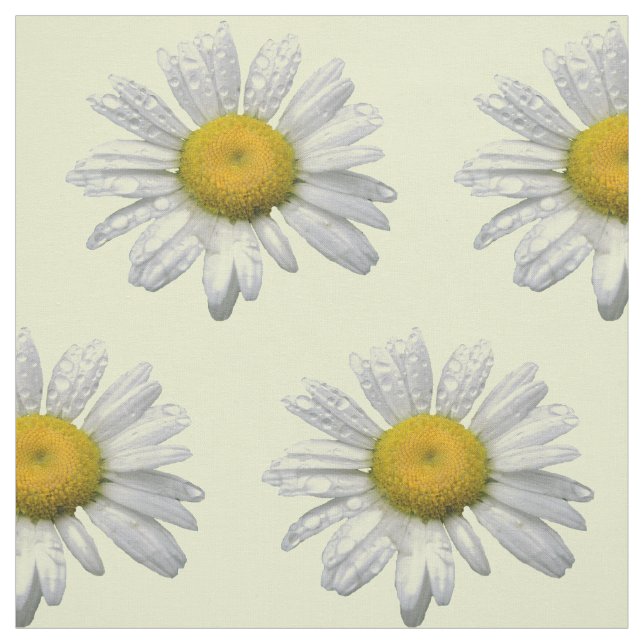 Tissu de fleur de marguerite (Échantillon)