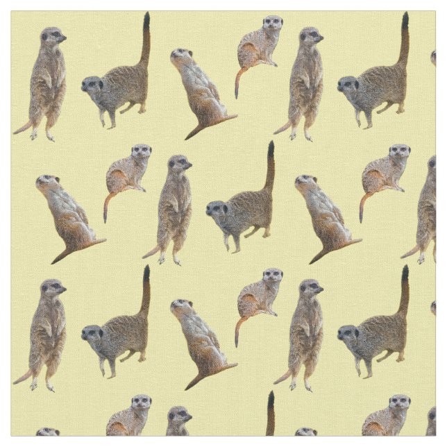 Tissu de frénésie de Meerkat (jaune) (Fermer)