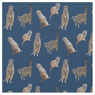 Tissu de frénésie de Meerkat (marine)
