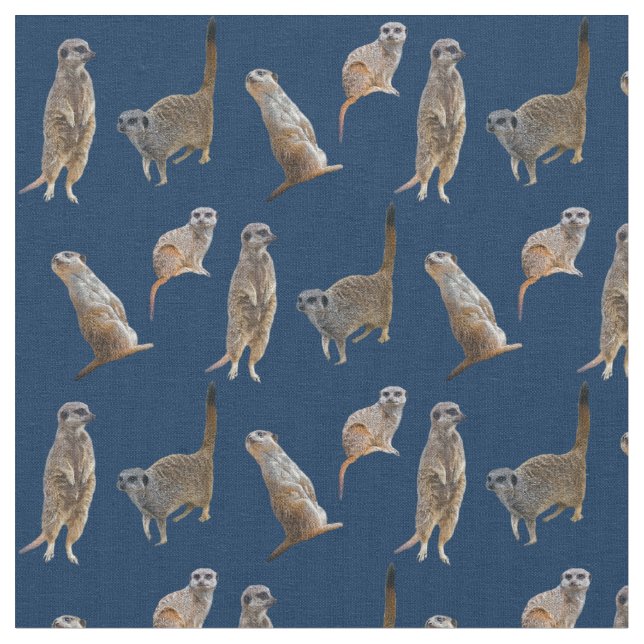 Tissu de frénésie de Meerkat (marine) (Fermer)
