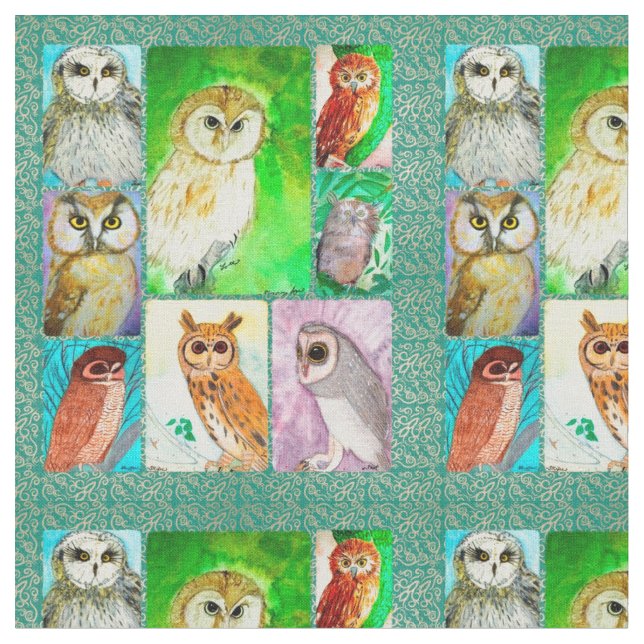 Tissu de hibou (Fermer)