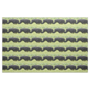 Tissu de jument et d'étalon de poney de Shetland
