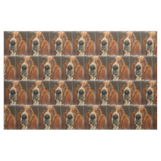 Tissu de la race de chien de Basset Hound