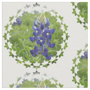 Tissu De loup bleu