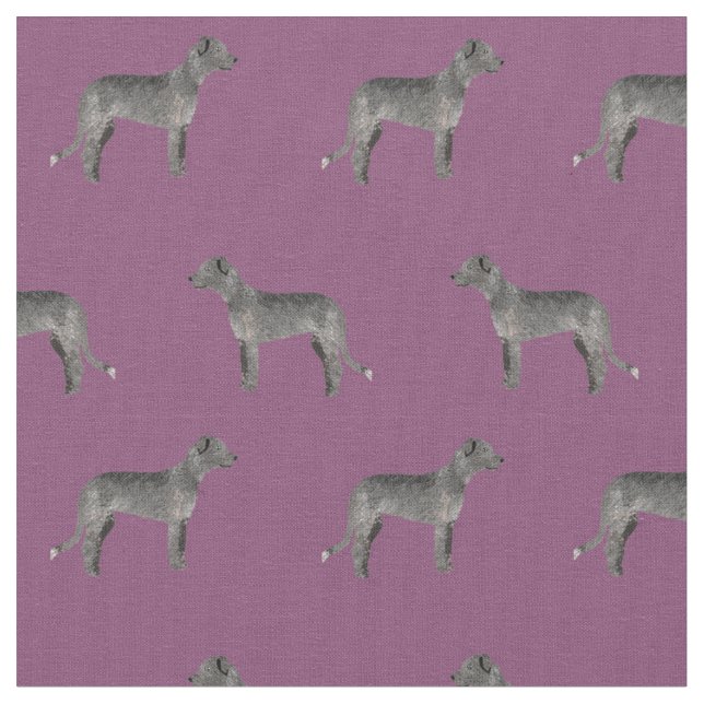 tissu de loup d'Irlande violet (Fermer)