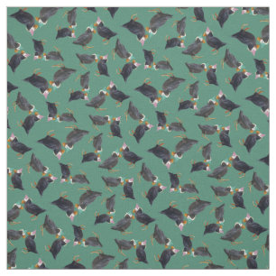 Tissu de macareux de partie