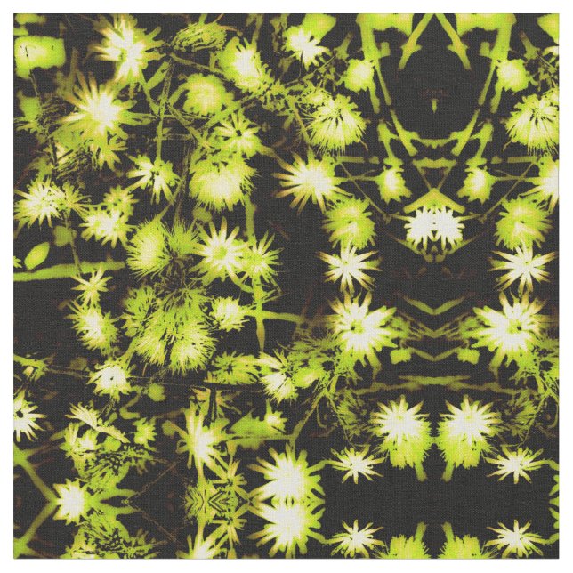 Tissu de marguerite dorée (Fermer)