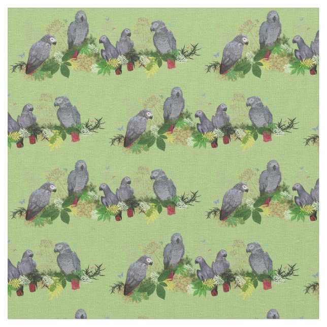 Tissu de partie de perroquet de gris africain (Fermer)