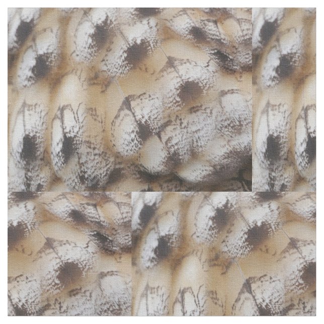Tissu de plumes de hibou (Fermer)