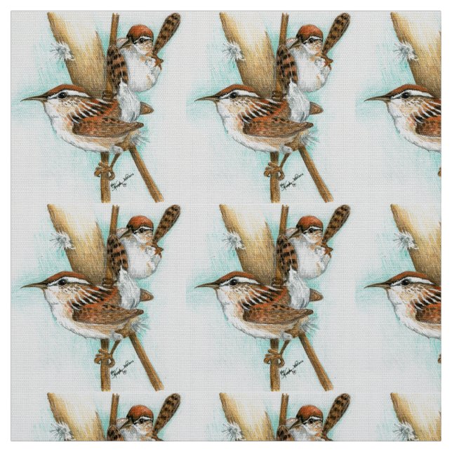 Tissu de roitelet (Échantillon)