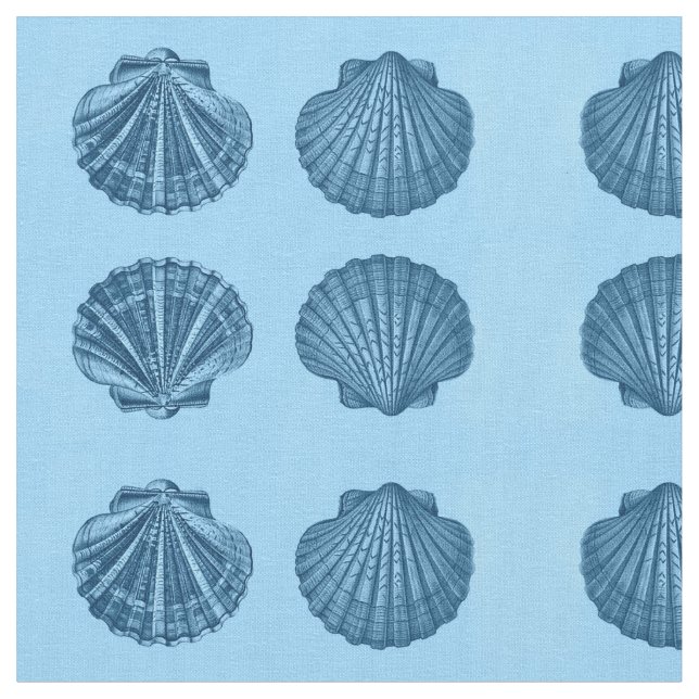 Tissu de Shell de mer (Fermer)
