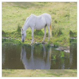 Tissu d'eau potable de cheval blanc